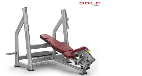 重慶桑拿房與健身器材選購指南 維爾健身器材等優(yōu)質(zhì)商家推薦